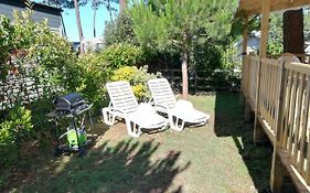 Mobile Home Luxe - La Palmyre