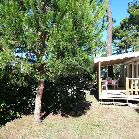 Mobile Home Luxe - La Palmyre Extérieur photo